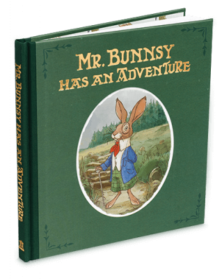 Mr Bunnsy has an Adventure
