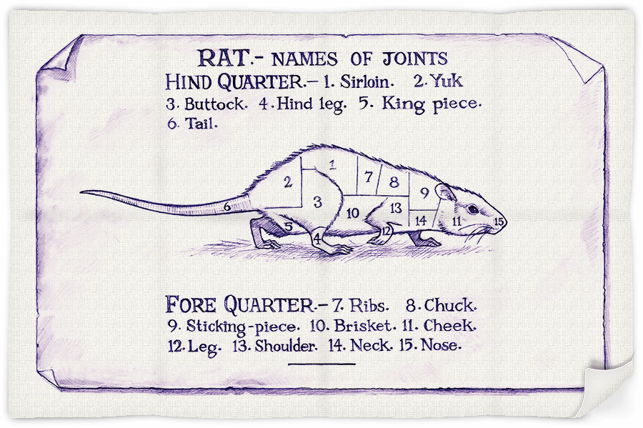Rat-tea-towel-2 Rat-tea-towel-2