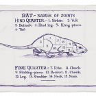 Rat-tea-towel-3