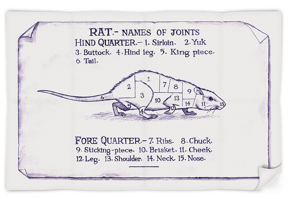 Rat-tea-towel-3 Rat-tea-towel-3