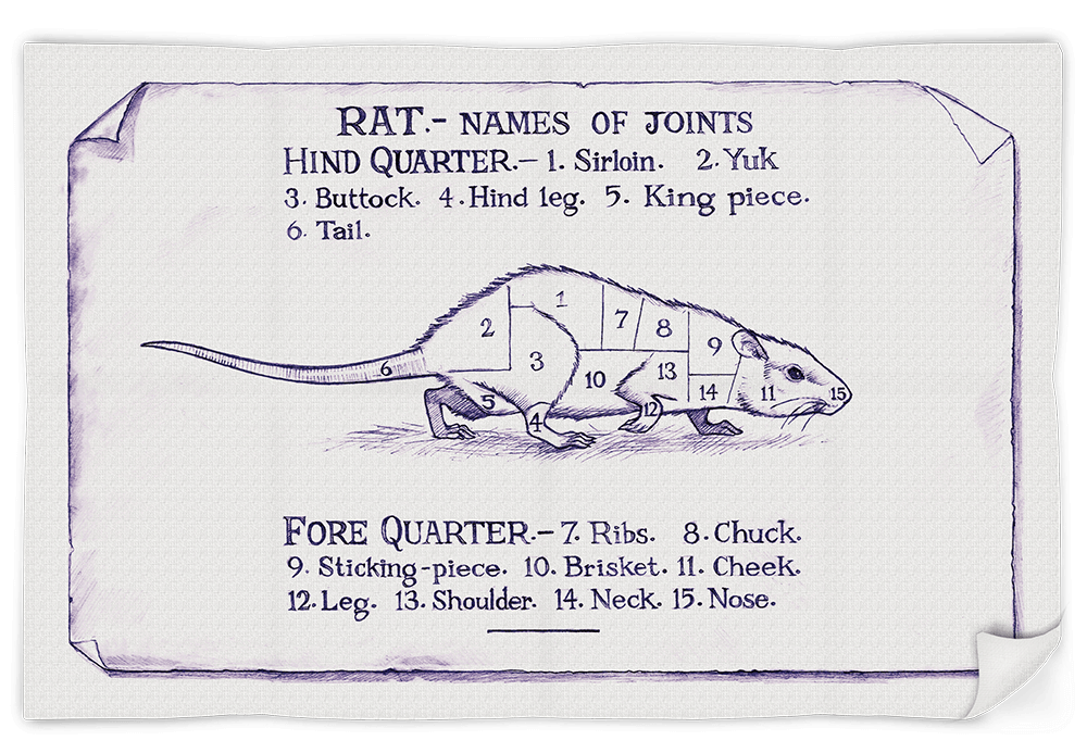Rat-tea-towel-4 Rat-tea-towel-4