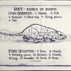 Rat-tea-towel-6