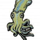 The Discworld Year of the Curious Squid Collectable Pin