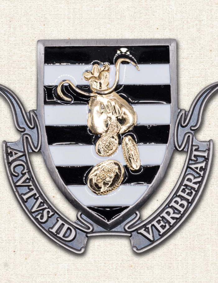 Thieves' Guild Collectable Pin