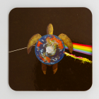 Dark Side of the Turtle Coaster