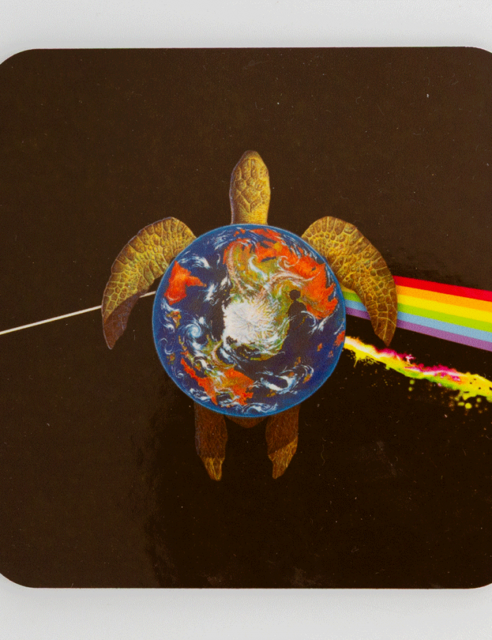 Dark Side of the Turtle Coaster