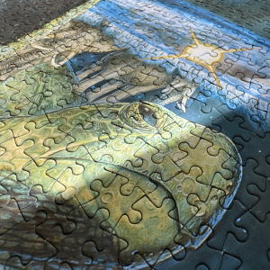 Great A'Tuin 1000 Piece Jigsaw Puzzle