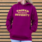 Unseen University College Hooded Top