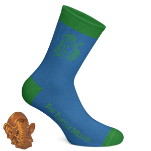 The Turtle Moves Socks (Size 4 - 7)