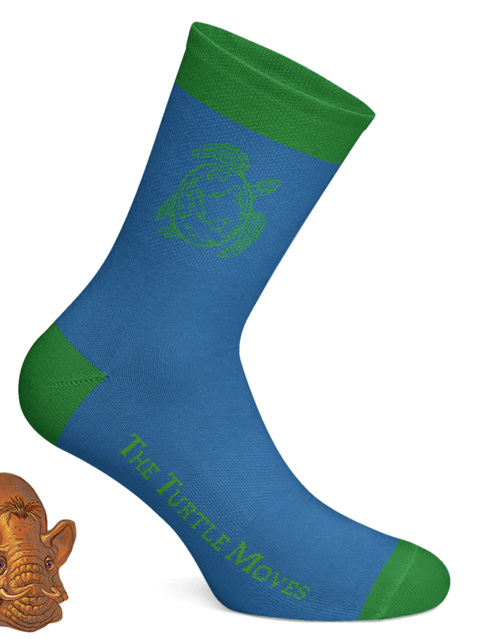 The Turtle Moves Socks (Size 4 - 7)