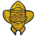 Sparkly Terry Pin Badge