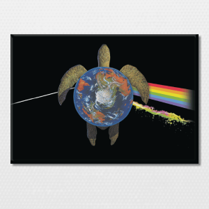 The Dark Side of the Turtle Artwork Magnet