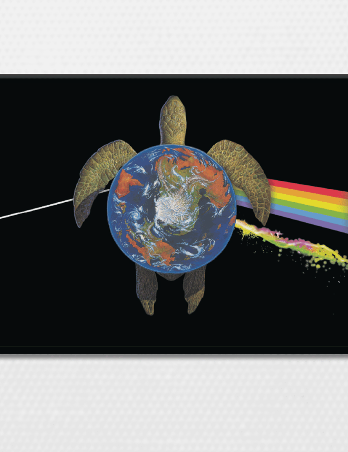 The Dark Side of the Turtle Artwork Magnet